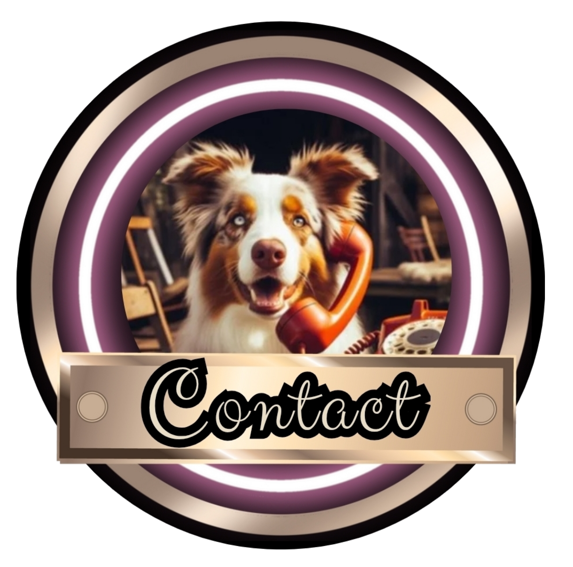 Contact